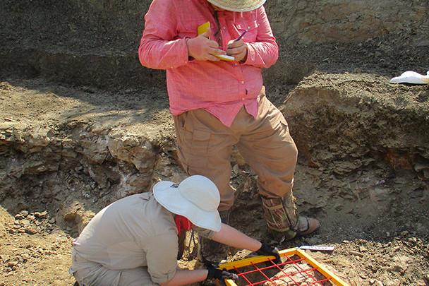 Carthage students mapping in situ Triceratops bones in the McAlhany quarry.