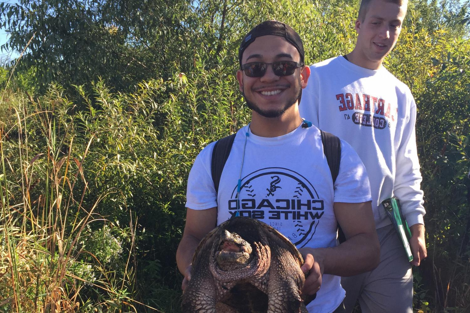 Carthage ecology student learns how to safely handle a common snapping turtle (Chelydra serpentina).